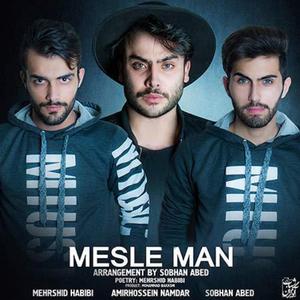 Mesle Man (feat. Sobhan Abed & AmirHossein Namdar)