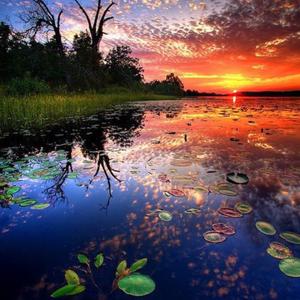 バトルフロンティア(映画バージョン)