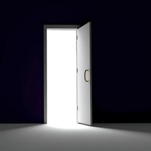 爱尔兰画眉-布鲁斯