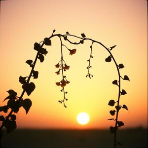 จบกันด้วยดี