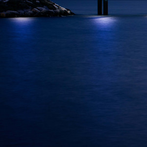 确定你就是我的风景