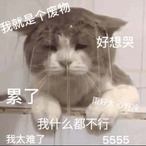 你爱帅哥我不配（翻自 IU）