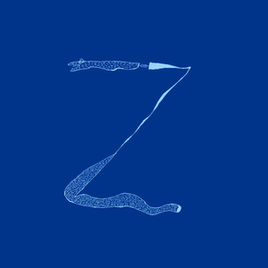 Zorros