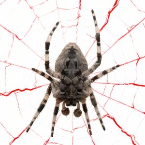 下刘艺术家的打火机(Prod by 4HMusic)