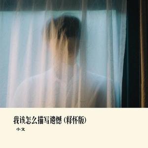 我该怎么描写遗憾   (Cover 向思思)