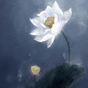 Mascara-Chillies (Bootleg)（9ZTQS / KAY· X remix）