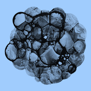 Will We Have Rainbows Day After Day