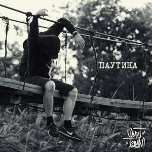 Паутина