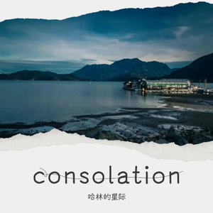 consolation（demo）