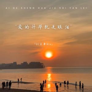 爱的升华就是眼泪