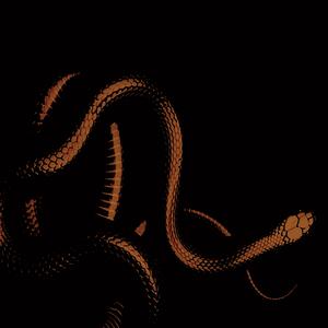 Попіл та дим