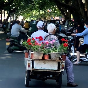 跟你爱到一百岁