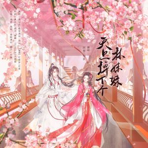 天上掉下个林妹妹