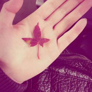 彩虹
