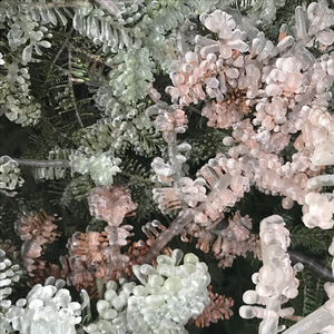 Cruddy (feat. Admiral Fox)