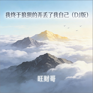 我终于狼狈的弄丢了我自己(DJ版)