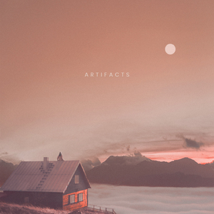 Reading Calvin & Hobbes With my Cat