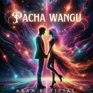 PACHA WANGU