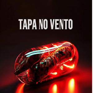 Tapa no Vento