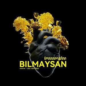 Bilmaysan