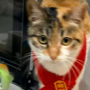 吹风