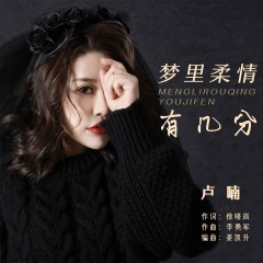梦里柔情有几分 (DJ默涵版)