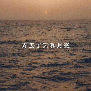 弄丢了云和月亮