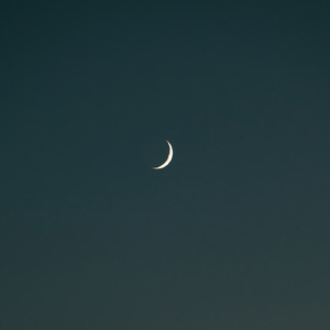 Moonnight Scape