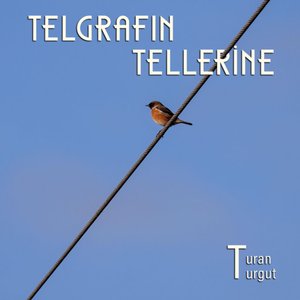 Telgrafın Tellerine