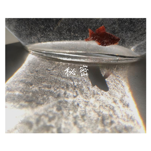 秘密金鱼