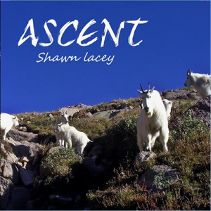 Someone Is Always Pontificating