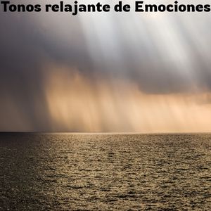 Chocamos juntos