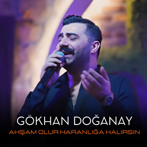 Akşam Olur Karanlığa Kalırsın