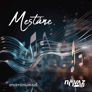 Bu Gece Yâri Gördüm (Enstrümantal)