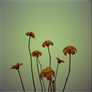 Esperando Lo Imposible