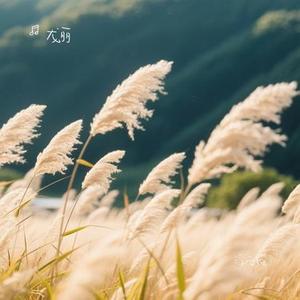 浮云谣