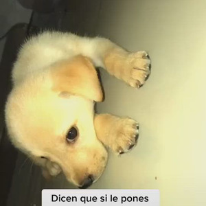 Seven Eleven Thailand (Sped Up)