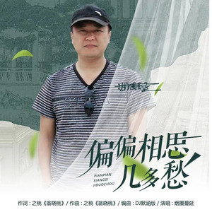 偏偏相思几多愁