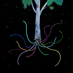 Uma selva no coração