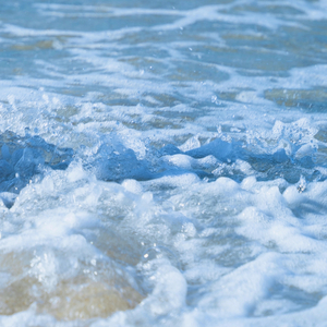 너의 푸름이 지지 않도록