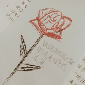 残玫