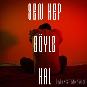 Sen Hep Böyle Kal (feat. Tevfik Yüksel)