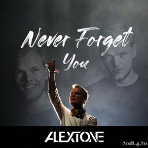 Never Forget You（Tribute to Avicii）