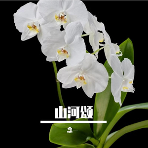 深刻的梦