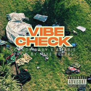Vibe Check