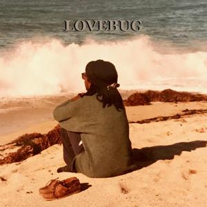 Lovebug