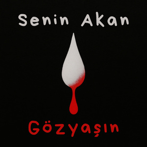 Senin Akan Gözyaşın