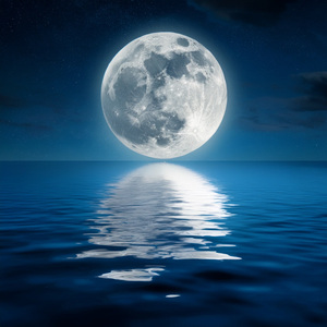 Dreams Travel Without End