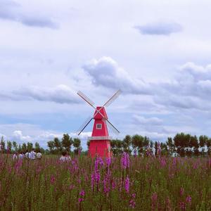 人世间（男声完整版）