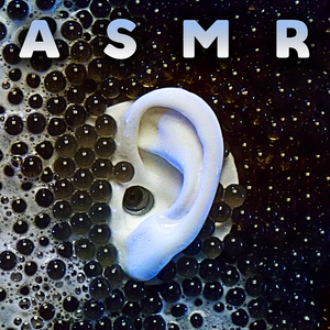 Rice Noodles Extended